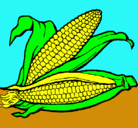 Dibujo Mazorca de maíz pintado por aina22