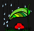 Dibujo Mariquita protegida de la lluvia pintado por ronaldocris