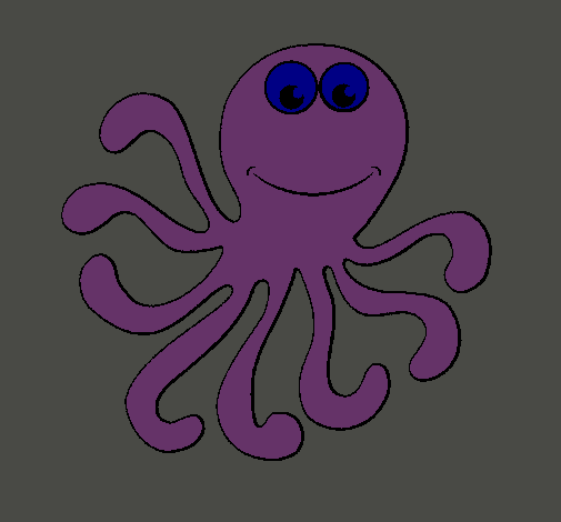 Pulpo 2