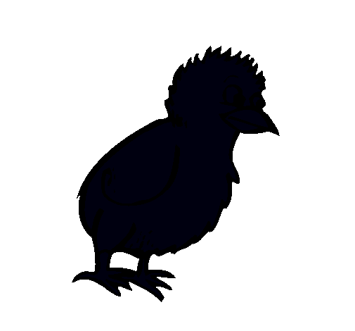 Pollito