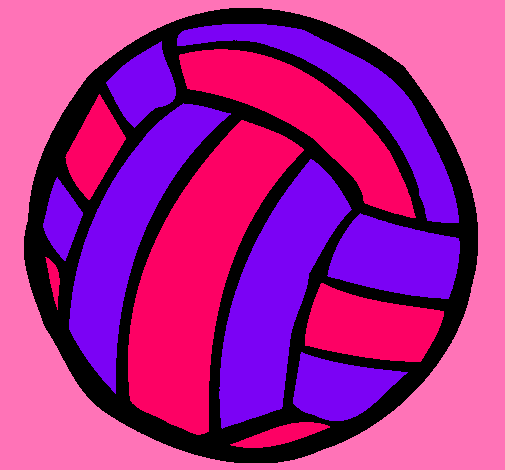 Pelota de voleibol