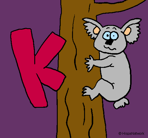 Koala