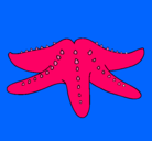 Dibujo Estrella de mar pintado por carolene