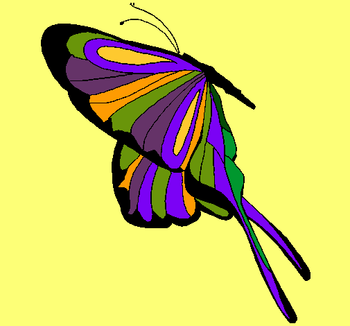Mariposa con grandes alas