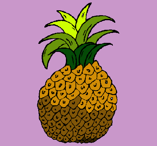 piña