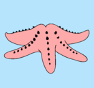 Dibujo Estrella de mar pintado por jaki