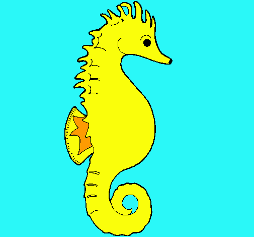 Caballito de mar