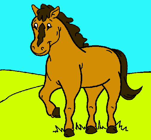 Caballo