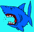 Dibujo Tiburón pintado por kelly