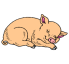 Dibujo Cerdo durmiendo pintado por vickita