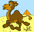 Dibujo Camello pintado por fernandon