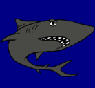 Dibujo Tiburón pintado por cacho