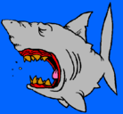 Dibujo Tiburón pintado por yanemba