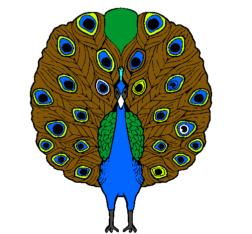 Pavo real