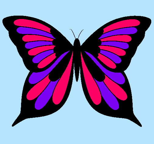 Mariposa