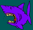 Dibujo Tiburón pintado por delis