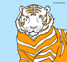 Dibujo Tigre pintado por dokito