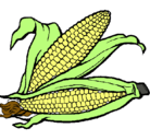 Dibujo Mazorca de maíz pintado por orquida