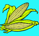 Dibujo Mazorca de maíz pintado por poisaerta