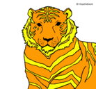 Dibujo Tigre pintado por tigrillo