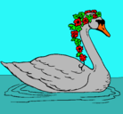 Dibujo Cisne con flores pintado por NANIIIIIIIII