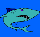 Dibujo Tiburón pintado por aiden