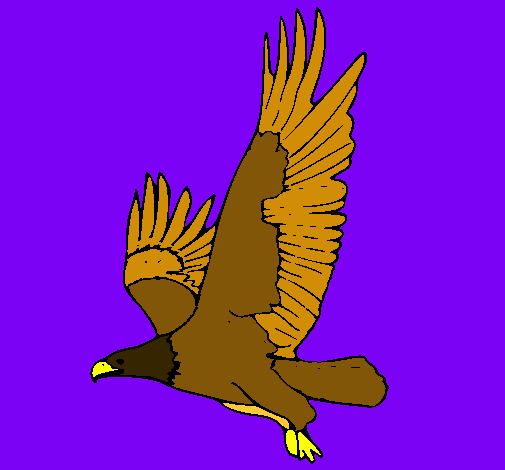 Águila volando