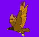 Dibujo Águila volando pintado por alchon