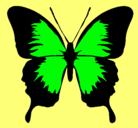 Dibujo Mariposa con alas negras pintado por lili_17_
