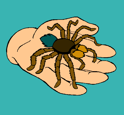 Tarántula