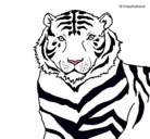 Dibujo Tigre pintado por rejas