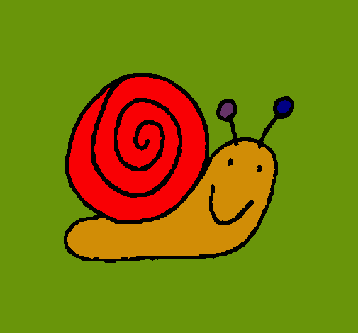 Caracol 4