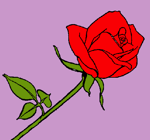 Dibujo Rosa pintado por MISA