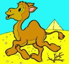 Dibujo Camello pintado por maien