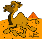 Dibujo Camello pintado por lupecita