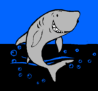 Dibujo Tiburón pintado por ivet
