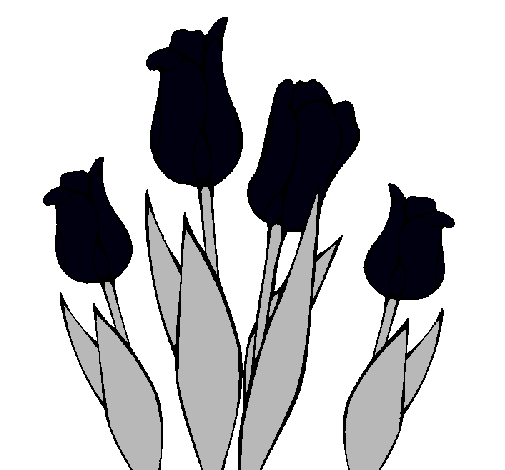 Tulipanes