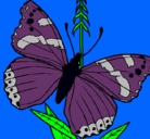 Dibujo Mariposa pintado por camili7a