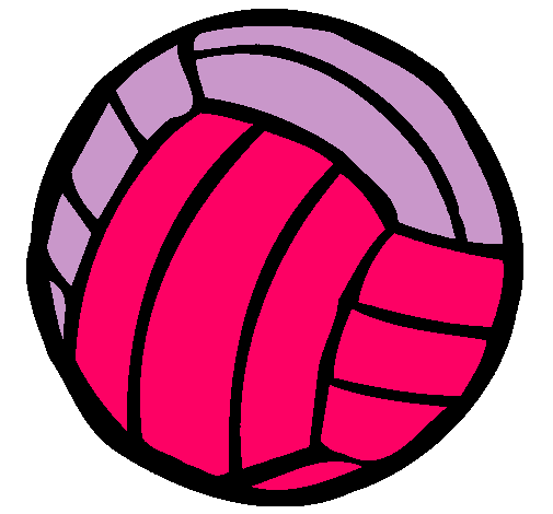 Pelota de voleibol