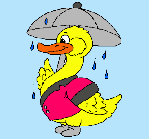 Pato bajo la lluvia