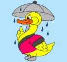 Dibujo Pato bajo la lluvia pintado por pulgita