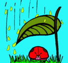 Dibujo Mariquita protegida de la lluvia pintado por ALEXrojas2006