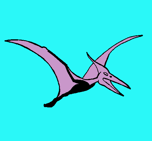 Pterodáctilo