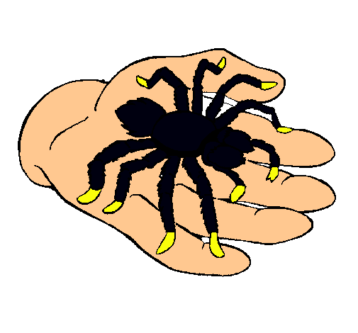 Tarántula