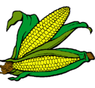 Dibujo Mazorca de maíz pintado por fransheska