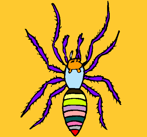 Araña tigre