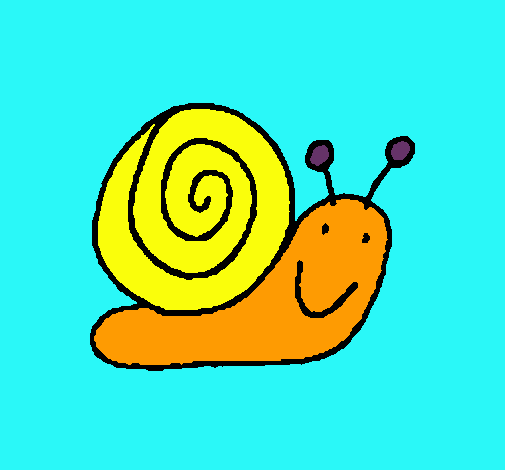 Caracol 4