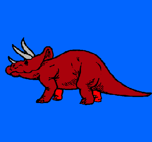 Triceratops