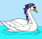 Dibujo Cisne con flores pintado por mikelk