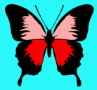 Dibujo Mariposa con alas negras pintado por MIA9